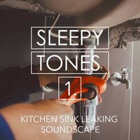 Kitchen Sink Leaking Soundscape, Pt. 5 - Jason Rivers