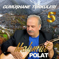 Pınarın Başında Üç Delikanlı - Mahmut Polat