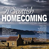 Will Ye No Come Back Again - The Scottish Fiddle Orchestra