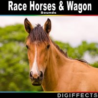 Horse Cart Ride with Iron Wheels on Gravel at a Trotting Pace - Digiffects Sound Effects Library