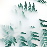 Whispering Lake - Master Meditação & Echoes of Nature & Internal Yoga
