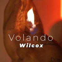 Volando - Wilcox