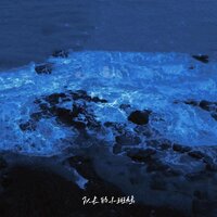 少一点天分 - 队长的小斑鸠
