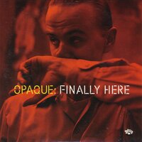 Finally Here - Opaque