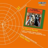 Zigeunerlieder, Op. 103: No. 3, Wisst ihr, wann mein Kindchen am allerschönsten ist? - Wiener Akademie-Kammerchor & Xaver Meyer & Wiener Akademie Kammerchor & Иоганнес Брамс