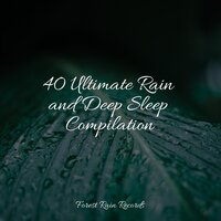Trickling Rains into Drains - Musica relajante & Unforgettable Paradise SPA Music Academy & Weather Factory