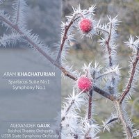 Symphony No. 1 in E Minor: I. Andante - Alexander Gauk & USSR State Symphony Orchestra & Арам Ильич Хачатурян