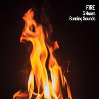 3 Hours of Fire Sounds - Nature Sounds ASMR & Relaxing music & Music for Dog's Ears