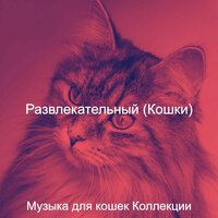 Моменты (Кошки) - Музыка для кошек Коллекции