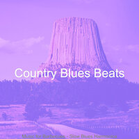 Background for Barbecues - Country Blues Beats