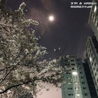 MOMENTUM - 37R & Hardx