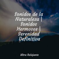 Una Probada A La Tranquilidad - Unidad de música zen relajante & Dormir Mucho & Natureza