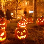 Halloween 2014