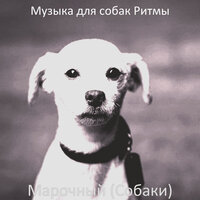 Звуки (Щенки) - Музыка для собак Ритмы