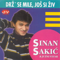 Zabranjeno secanje - Sinan Sakic