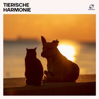 Glückliche Pfoten - Entspannungsmusik für Haustiere & Hundemusik & Schlafmusik für Hunde & Musik für Hunde