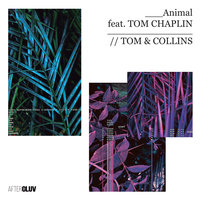 Animal - Tom & Collins & Tom Chaplin