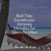 Moonlight Wonders - Pet Care Music Therapy & Soothing Chill Out For Insomnia & Spa Relaxation
