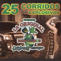 Macario Leyva - La Original Banda El Limón de Salvador Lizárraga