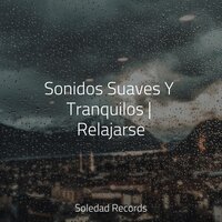Dichoso Escape - Naturaleza & Musica Relajante Para Estudiar & Musica para Meditar Especialistas