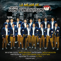 Ando Bien Pedo - Banda Los Recoditos
