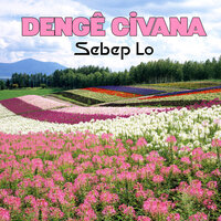 Sebep Lo - Denge Civana