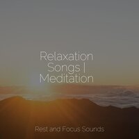 Bringing Serene Sounds - Guided Meditation & Relaxing Spa Music & Musique Zen Garden