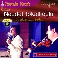 Sebepsiz Ayrılık - Necdet Tokatlıoğlu