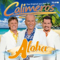 Sommer im Herzen - Calimeros