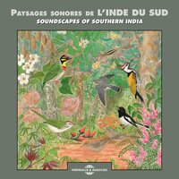 Au matin dans la forêt d'auroville 2 - Nature Sounds & Sons De La Nature