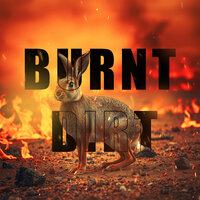 Burnt Dirt - Soul Tang