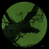 Pasiphae III - Franco Rossi