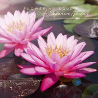 Current of Life - Relaxing Music Oasis