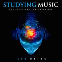 Calming Study Sounds - Stu Dying