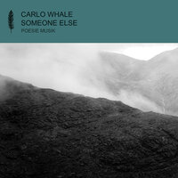 Someone Else - Carlo Whale & HolyU