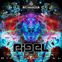 Shinigami - Rigel