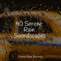 Deep White Noise Rain Umbrella - Organic Nature Sounds & Calming Sounds & Studying Music