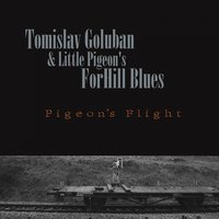 Steady Rollin' Man - Tomislav Goluban & Little Pigeon's ForHill Blues & Tomislav Goluban, Little Pigeon's ForHill Blues