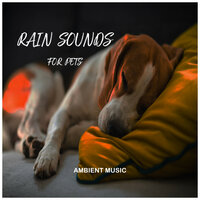 Relaxing your Dog: Rain Sounds - Music for Calming Dogs & Relaxing Music for Dogs & Relaxing music