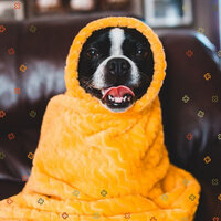 Atmospheric Tenor Saxophone Solo - Vibe for Chill Dogs - Music for Dog's Ears