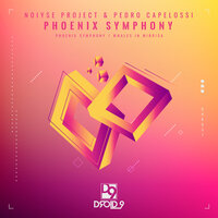 Whales in Mirrisa - Pedro Capelossi & NOIYSE PROJECT