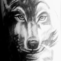 Breathe - Wolfie