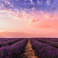 Peaceful Thoughts - Rain Recorders & Massage Therapy Music & Amazing Spa Music