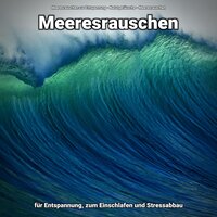 Versonnene Wasserszene - Meeresrauschen zur Entspannung & Naturgeräusche & Meeresrauschen