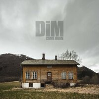 Mistakes - DiM