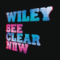 Wearing My Rolex - Wiley