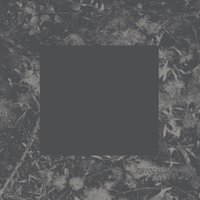 Inappropriate Body - House of Low Culture
