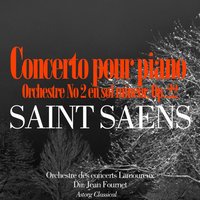 Concerto pour piano et orchestre No. 2 en sol mineur, Op. 22: I. Andante sostenueto - Orchestre des Concerts Lamoureux