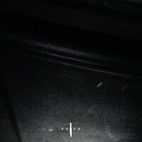 GALLOWS - Winter