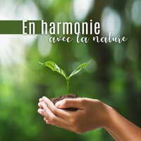 Chemin de vie - Zone de la Musique Relaxante